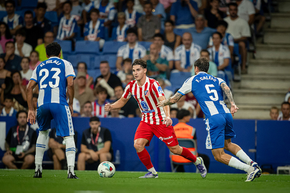 组织能力甚, com