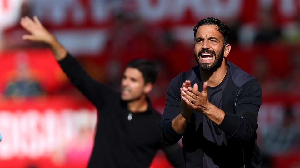 我不喜欢它, 你需要你的